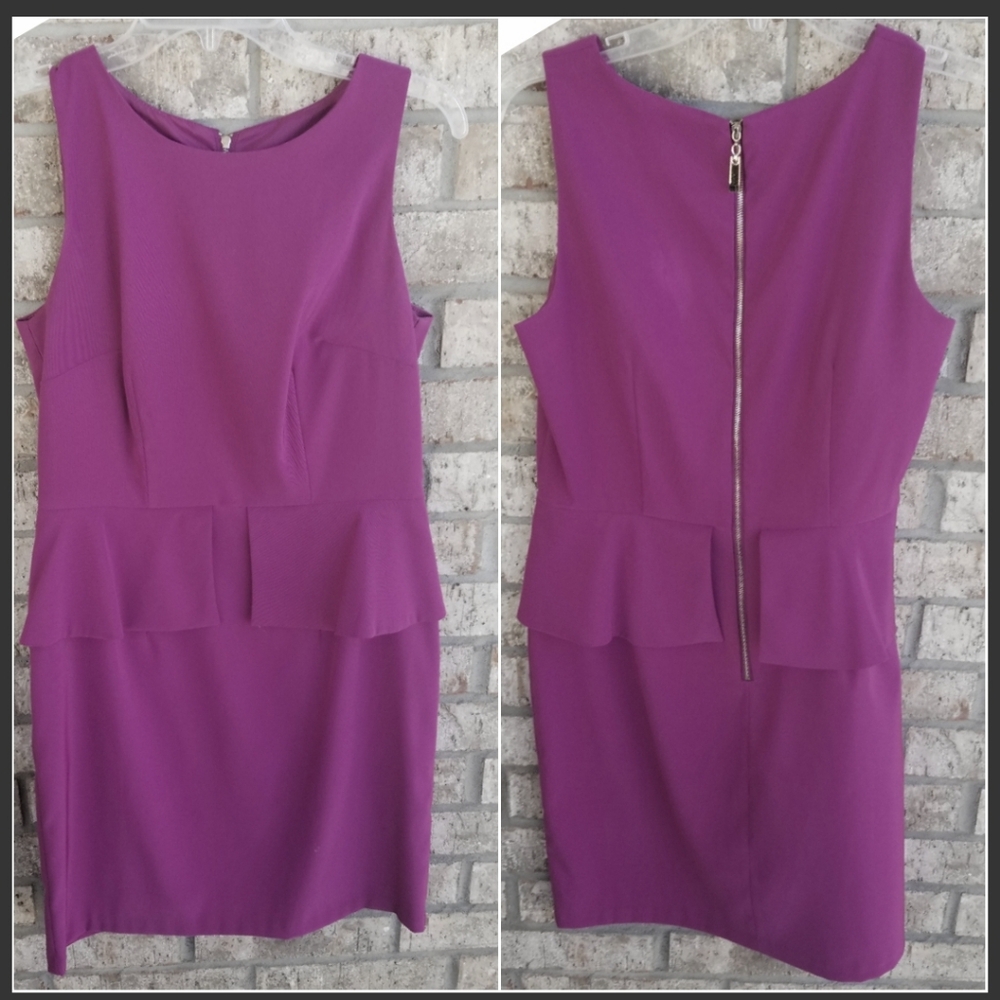 AGB Dress PINK/ Plumb Sleeveless Sheath Midi Pencil Dress (Women 6)